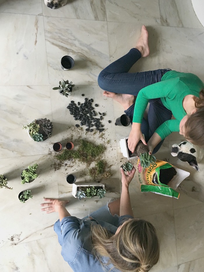 two kids planting Succulents Mothers day gift two kids planting Succulents Mothers day gift