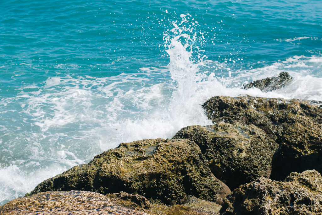 Explore Vero Beach, FL