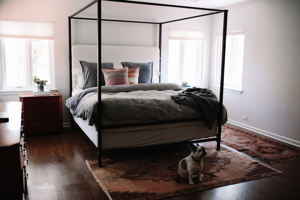 bedroom bedroom with a bed, dog, and Kilim Rug decor trends