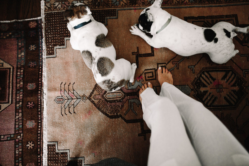 dogs two dogs laying down on a Kilim Rug decor trends