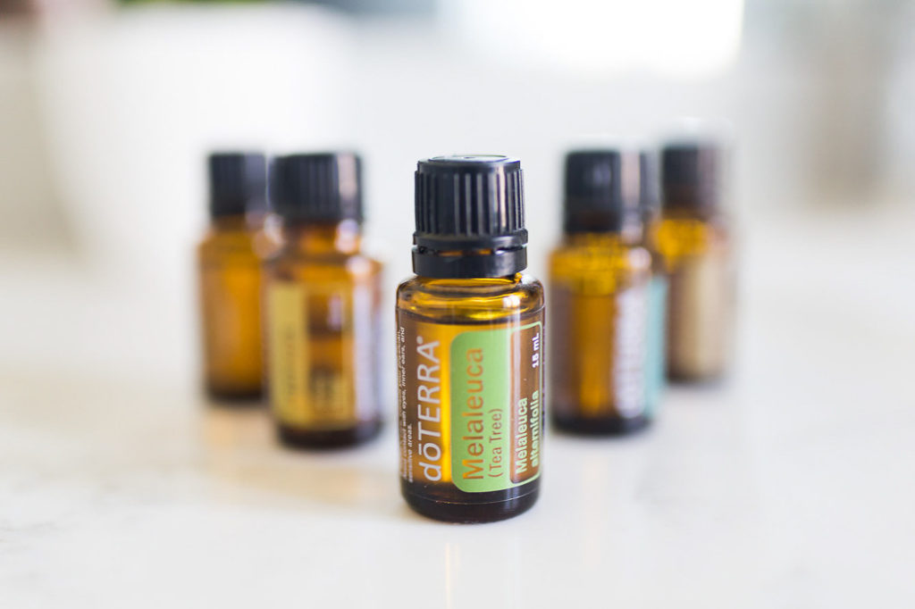 Tea Tree Essential Oil Tea Tree Essential Oil
