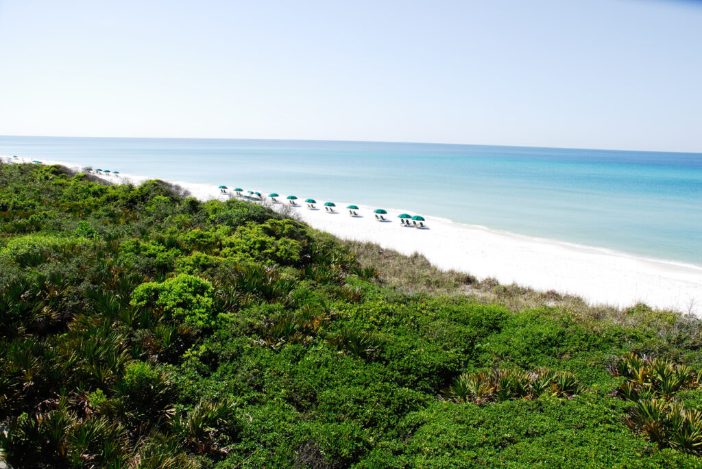 the beach at Rosemary Beach Florida the beach at Rosemary Beach Florida