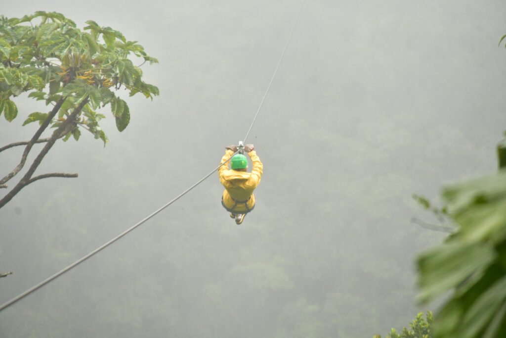 person ziplining person ziplining